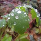 DSCN5036.JPG