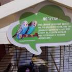 Контактный зоопарк. Казань.75613