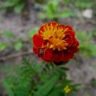DSCN0644.JPG