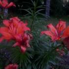 DSCN0203.JPG