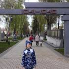 IMG_20170509_093141