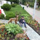 DSC05837.JPG