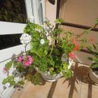 DSCN0576.JPG