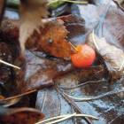DSCN5041.JPG