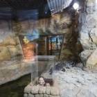 Казанский океанариум95556