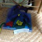 IMG_20181109_153437