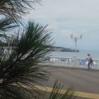 DSCN0012.JPG