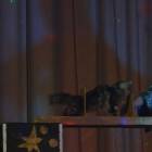 DSC07173.JPG