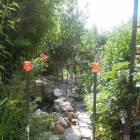 DSCN0550.JPG