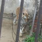 DSCN4996.JPG