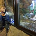 IMG_20171112_192142