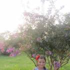 IMG_0986.JPG