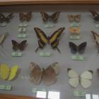 DSCN0432.JPG