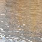 20191025_145230
