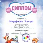Шарафиева Замира 9