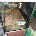 DSC05975.JPG