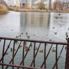 20181102_124331
