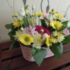 DSCN9586.JPG