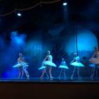 IMG_1171.JPG