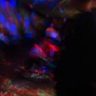 DSC04940.JPG
