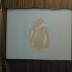 DSCN4271.JPG