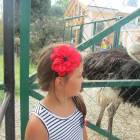 IMG_0957.JPG