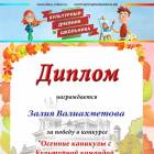 мои дипломы и грамоты118410