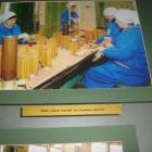 IMG_2978.JPG