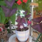 DSCN0565.JPG