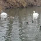 DSCN4922.JPG