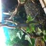 20160514_093437