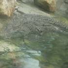 DSCN0228.JPG