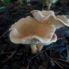 DSCN0327.JPG