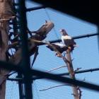 IMG_20160828_084629