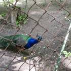 20190623_143537