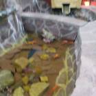IMG_20171102_155041