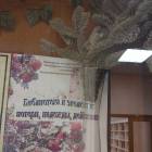 IMG_20171117_144626