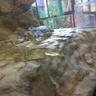IMG_20171112_191429