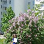 20180522_135935