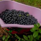 DSCN0605.JPG