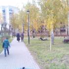 Уличные библиотеки Альметьевска. 31.10.17г.84624