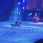 DSCN6528.JPG
