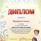 Шарафиева Замира   