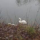 DSCN4931.JPG