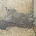 DSCN9964.JPG