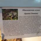 Выставка зоопарк "Живые тропики"60586