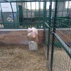 IMG-20180218-WA0086