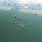 DSCN4580.JPG