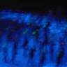 DSC04472.JPG