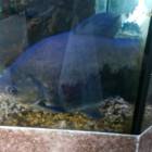 IMG_20160828_083633